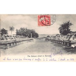 Rare collectable postcards of Egypt. Vintage Postcards of Egypt