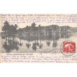 Rare collectable postcards of Egypt. Vintage Postcards of Egypt