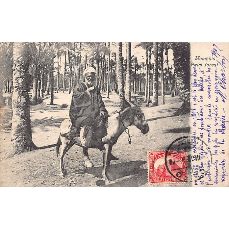 Rare collectable postcards of Egypt. Vintage Postcards of Egypt