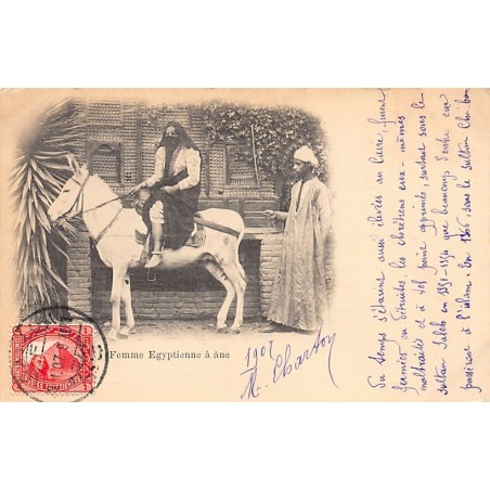 Rare collectable postcards of Egypt. Vintage Postcards of Egypt