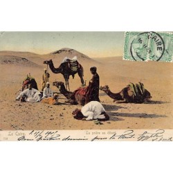 Rare collectable postcards of Egypt. Vintage Postcards of Egypt