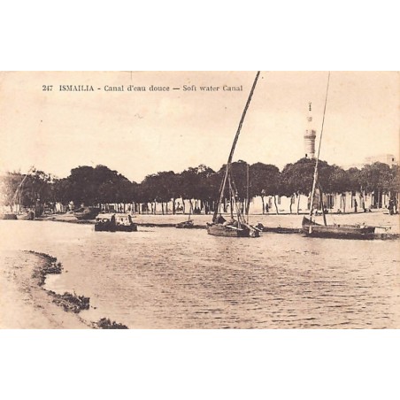 Rare collectable postcards of Egypt. Vintage Postcards of Egypt