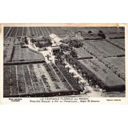 Rare collectable postcards of Morocco. Vintage Postcards of Morocco