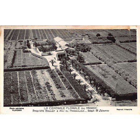 Rare collectable postcards of Morocco. Vintage Postcards of Morocco