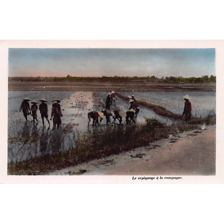 Rare collectable postcards of Vietnam. Vintage Postcards of Vietnam