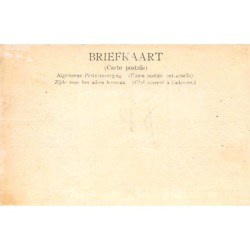 Rare collectable postcards of NEDERLAND. Vintage Postcards of NEDERLAND