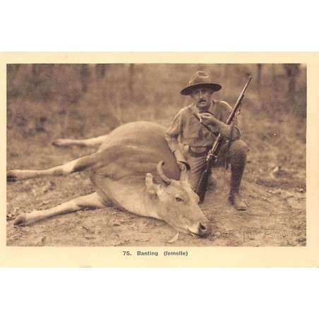 Rare collectable postcards of Vietnam. Vintage Postcards of Vietnam