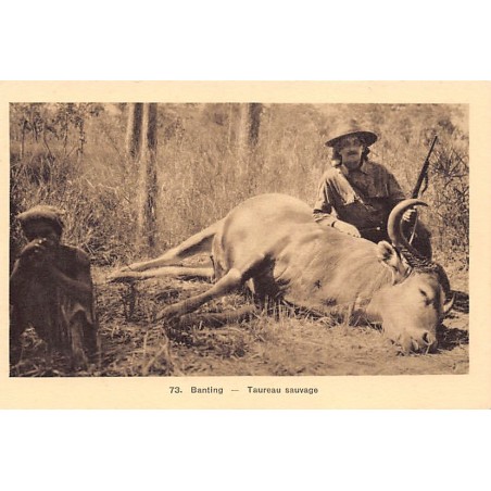 Rare collectable postcards of Vietnam. Vintage Postcards of Vietnam