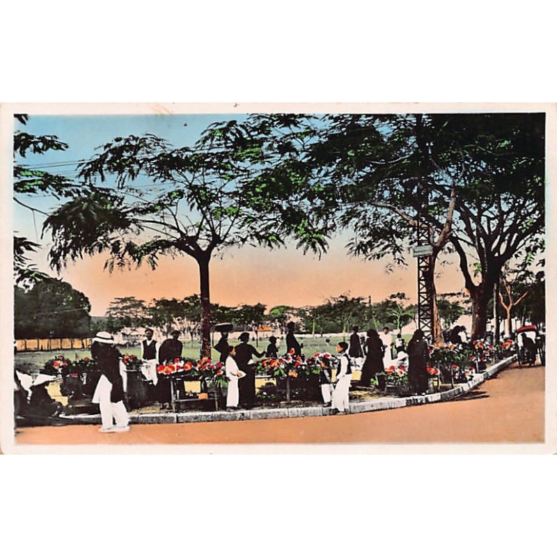 Rare collectable postcards of Vietnam. Vintage Postcards of Vietnam