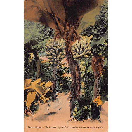 Rare collectable postcards of Martinique. Vintage Postcards of Martinique