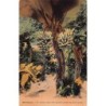 Rare collectable postcards of Martinique. Vintage Postcards of Martinique