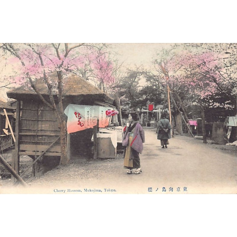 Rare collectable postcards of Japan. Vintage Postcards of Japan