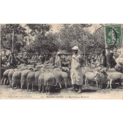 Rare collectable postcards of Algeria. Vintage Postcards of Algeria