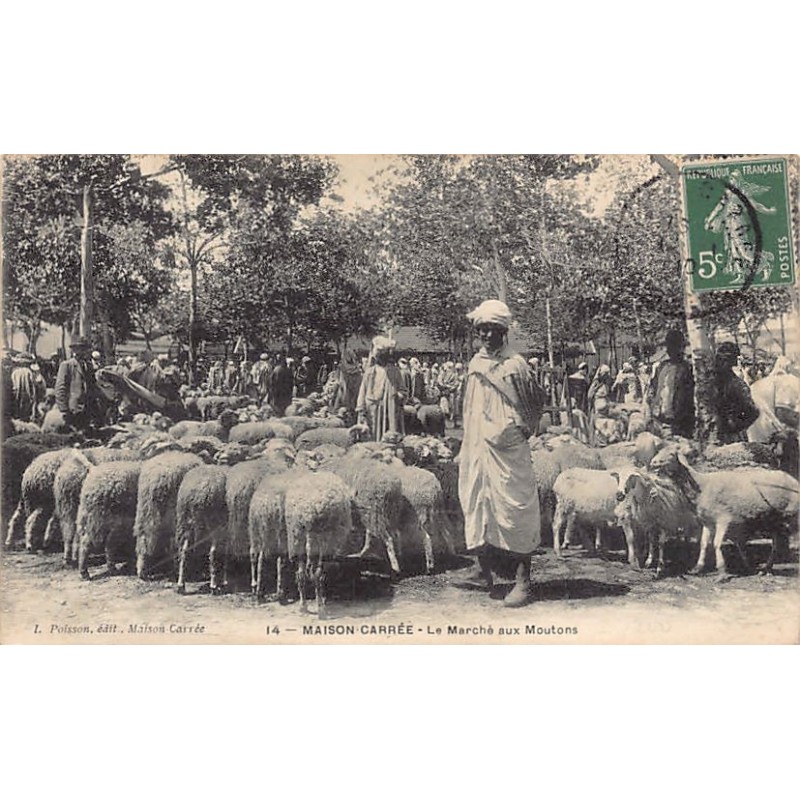 Rare collectable postcards of Algeria. Vintage Postcards of Algeria