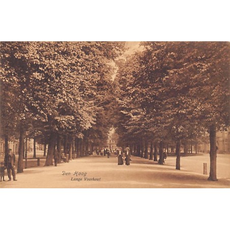 Rare collectable postcards of NEDERLAND. Vintage Postcards of NEDERLAND