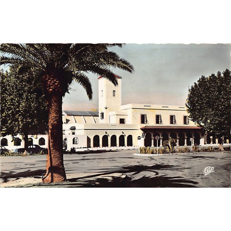 Rare collectable postcards of Algeria. Vintage Postcards of Algeria