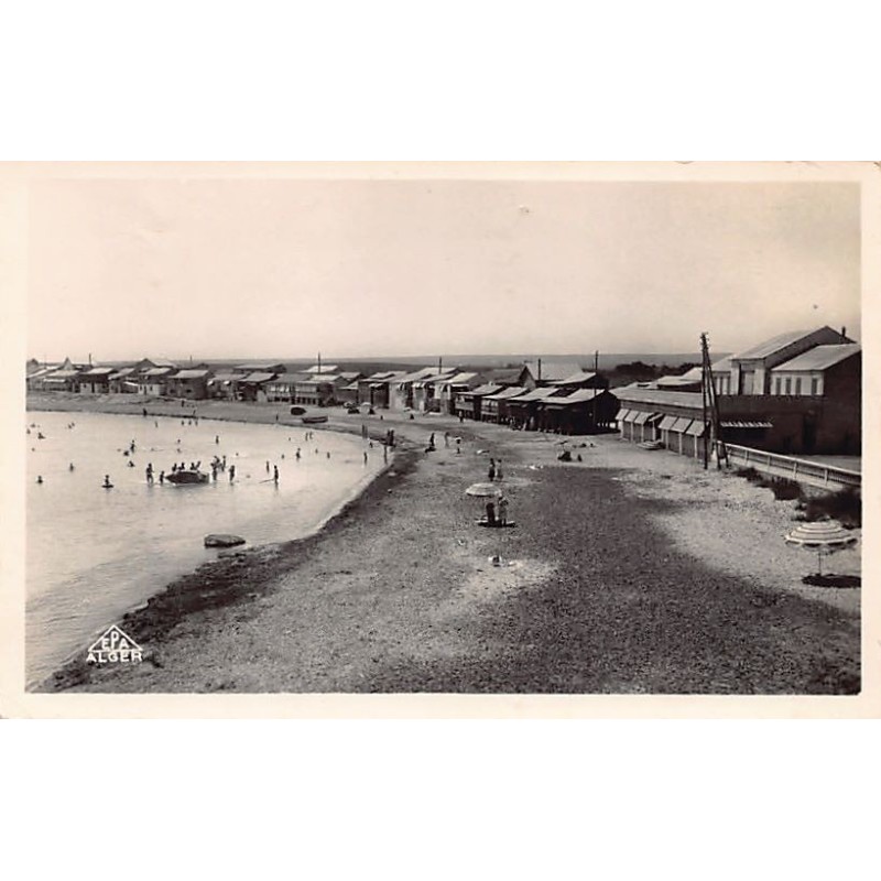 Rare collectable postcards of Algeria. Vintage Postcards of Algeria