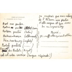 Rare collectable postcards of Algeria. Vintage Postcards of Algeria