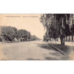 Rare collectable postcards of Algeria. Vintage Postcards of Algeria