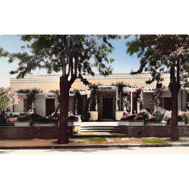 Rare collectable postcards of Algeria. Vintage Postcards of Algeria