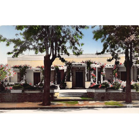 Rare collectable postcards of Algeria. Vintage Postcards of Algeria