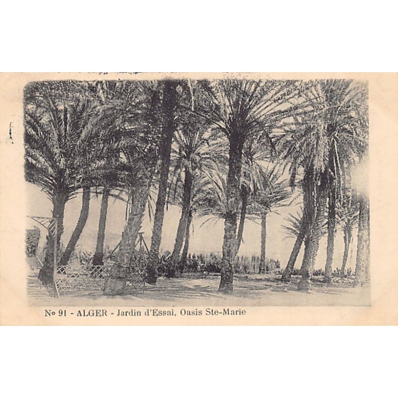 Rare collectable postcards of Algeria. Vintage Postcards of Algeria