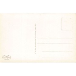 Rare collectable postcards of NEDERLAND. Vintage Postcards of NEDERLAND