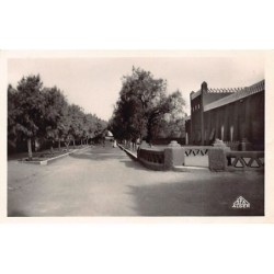 Rare collectable postcards of Algeria. Vintage Postcards of Algeria