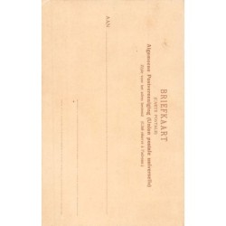 Rare collectable postcards of NEDERLAND. Vintage Postcards of NEDERLAND