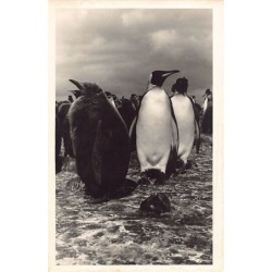 Rare collectable postcards of France. Vintage Postcards of France