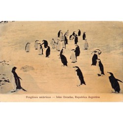 Rare collectable postcards of Falklands Islands. Vintage Postcards of Falklands Islands