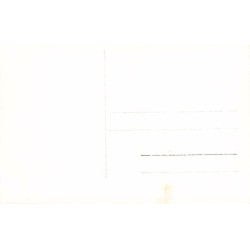 Rare collectable postcards of Germany. Vintage Postcards of Germany