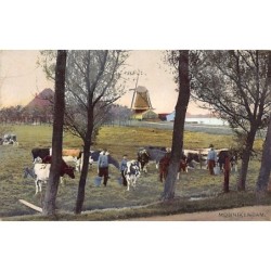 Rare collectable postcards of NEDERLAND. Vintage Postcards of NEDERLAND