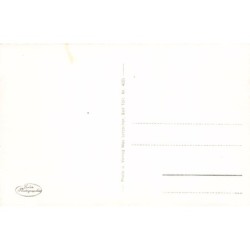 Rare collectable postcards of Germany. Vintage Postcards of Germany