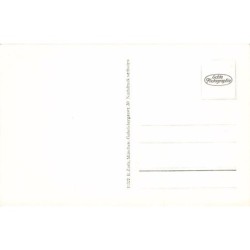 Rare collectable postcards of Germany. Vintage Postcards of Germany