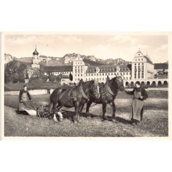 Rare collectable postcards of Germany. Vintage Postcards of Germany