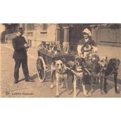 Rare collectable postcards of Belgium. Vintage Postcards of Belgium