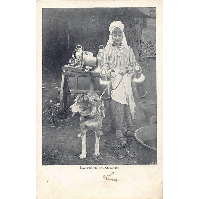 Rare collectable postcards of Belgium. Vintage Postcards of Belgium