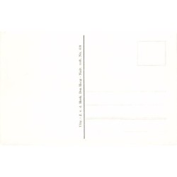 Rare collectable postcards of NEDERLAND. Vintage Postcards of NEDERLAND