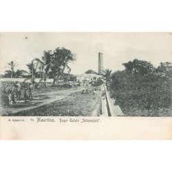 Rare collectable postcards of Mauritius. Vintage Postcards of Mauritius