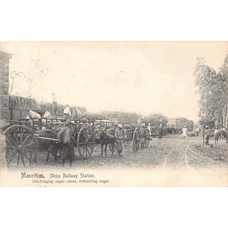 Rare collectable postcards of Mauritius. Vintage Postcards of Mauritius