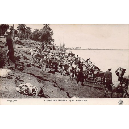 Rare collectable postcards of Sudan. Vintage Postcards of Sudan