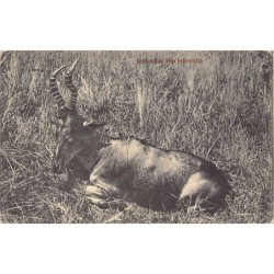 Rare collectable postcards of Zimbabwe. Vintage Postcards of Zimbabwe