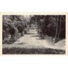 Rare collectable postcards of Cambodia. Vintage Postcards of Cambodia