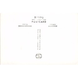 Rare collectable postcards of Israel / Palestine. Vintage Postcards of Israel / Palestine