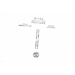 Rare collectable postcards of Israel / Palestine. Vintage Postcards of Israel / Palestine