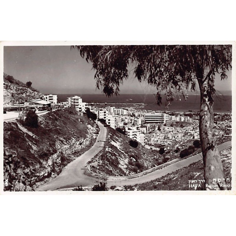 Rare collectable postcards of Israel / Palestine. Vintage Postcards of Israel / Palestine