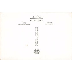 Rare collectable postcards of Israel / Palestine. Vintage Postcards of Israel / Palestine