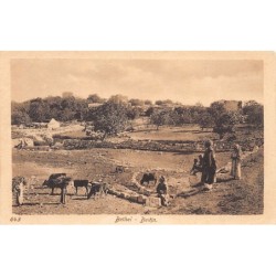 Rare collectable postcards of Israel / Palestine. Vintage Postcards of Israel / Palestine