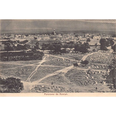 Rare collectable postcards of Israel / Palestine. Vintage Postcards of Israel / Palestine